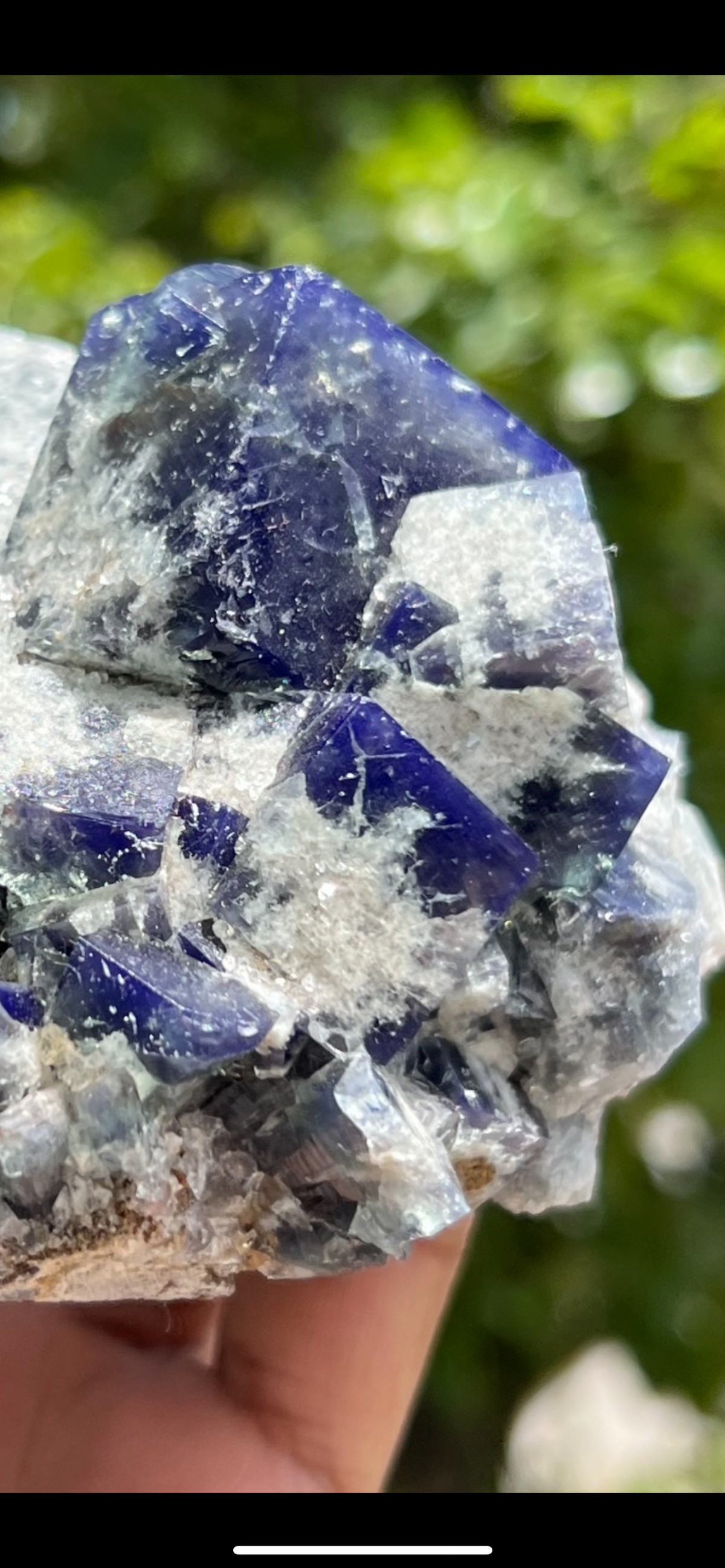 Milky Way UK Fluorite from The Hidden Forest Pocket, Diana Maria