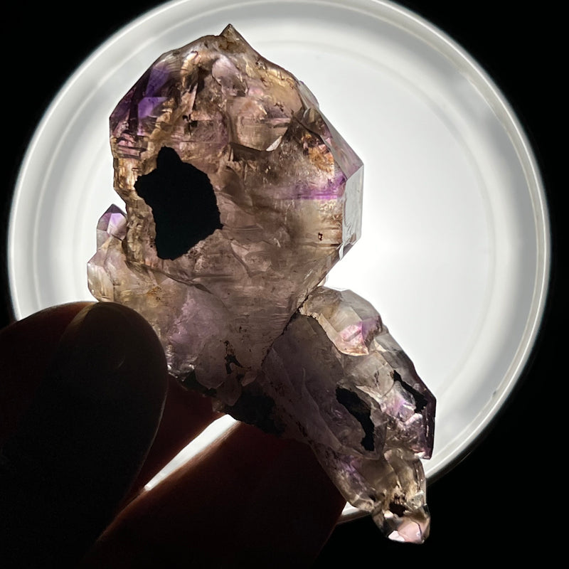 Mothership and Baby Smokey Quartz, Shangaan Amethyst Crystal From The Chibuku Mine, Gezani Communal Land, Zimbabwe