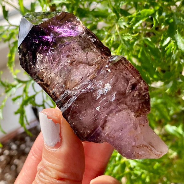 Shangaan Amethyst Sceptre, From Zimbabwe