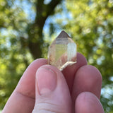 Over 1lb Lot of Kundalini Quartz Citrine, Democratic Republic of Congo, Lwena, Congo Citrine