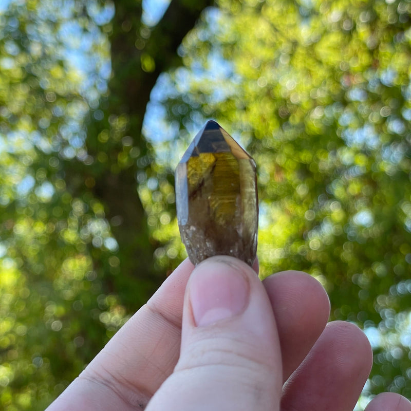 Over 1lb Lot of Kundalini Quartz Citrine, Democratic Republic of Congo, Lwena, Congo Citrine