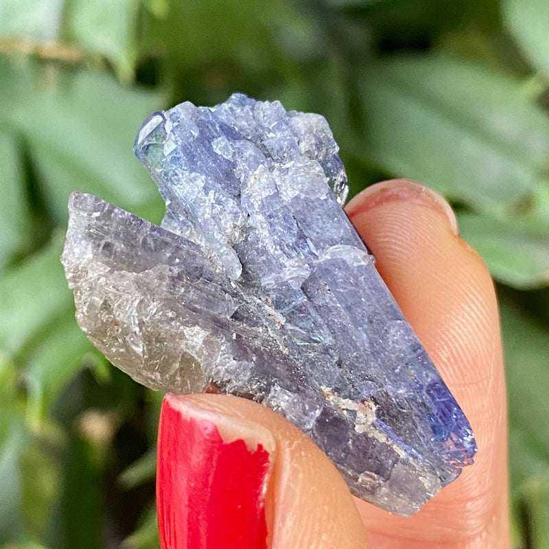 31.6 ct Blue Tanzanite Crystal from Lelatema Mountains, Merelani Hills, Tanzania