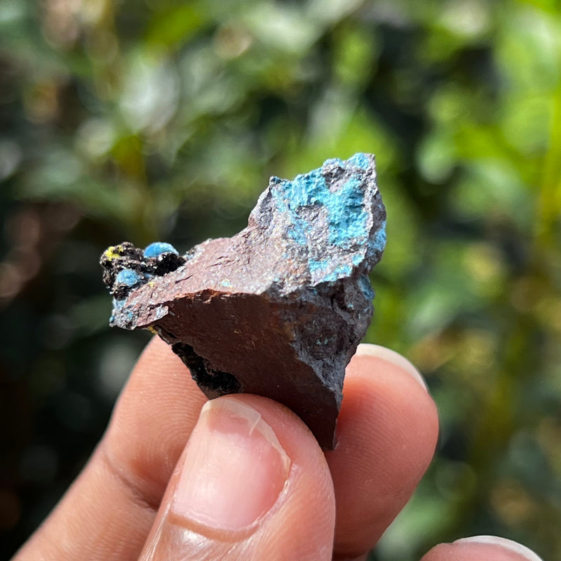 Blue Shattuckite and Khorixasite, Mesopotamia Copper Valley, Kunene, Namibia, African Mineral Specimen