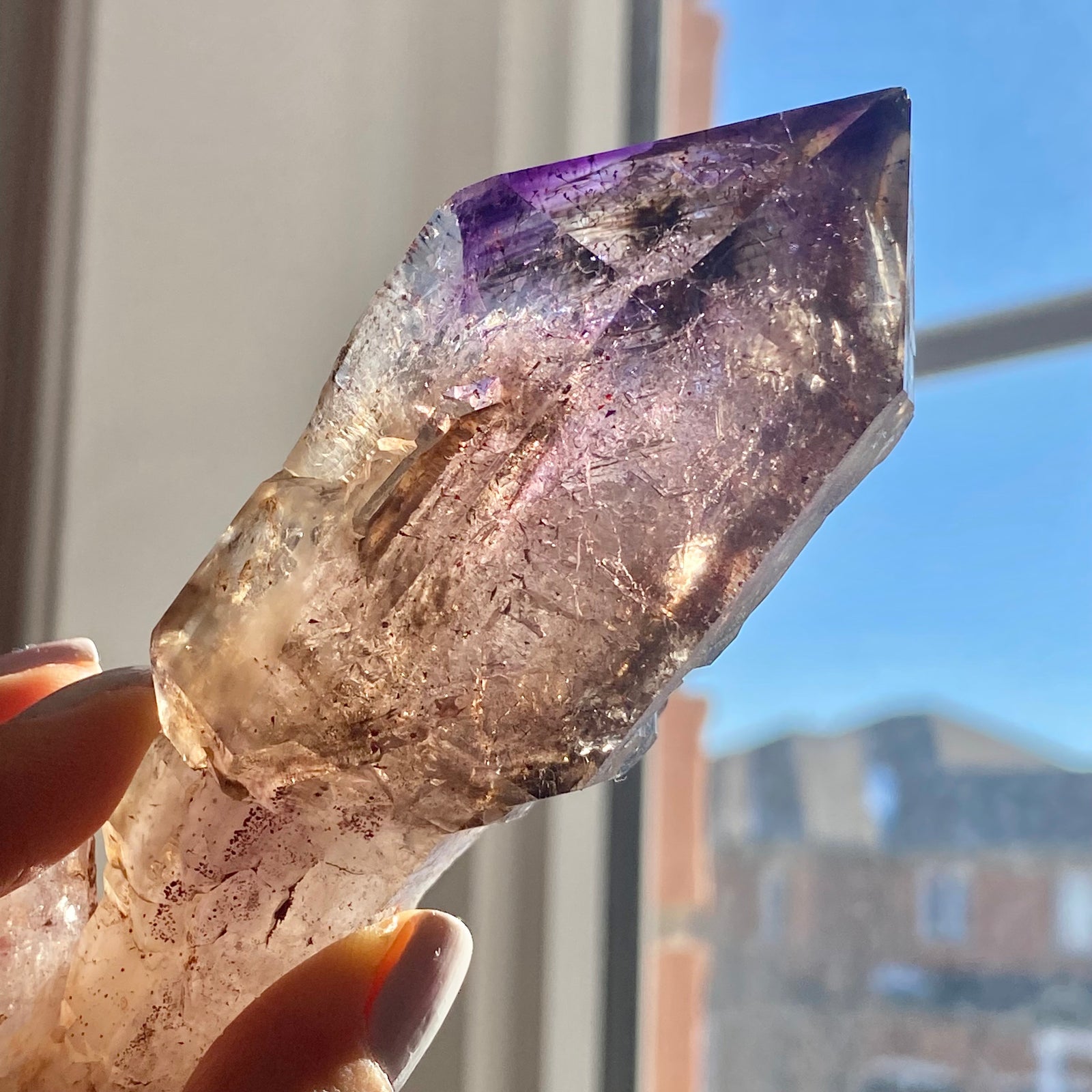 Starship Falcon Gemmy Zimbabwean Smoky Amethyst orders Scepter Elestial Quartz Crystal Cluster with Inclusions Sedona Vortex Reiki Infused