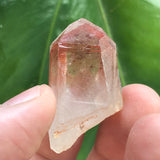 Ishuko Red Phantom Quartz, One Pound, 21 pieces Hematite included Quartz from the Central Province of Zambia