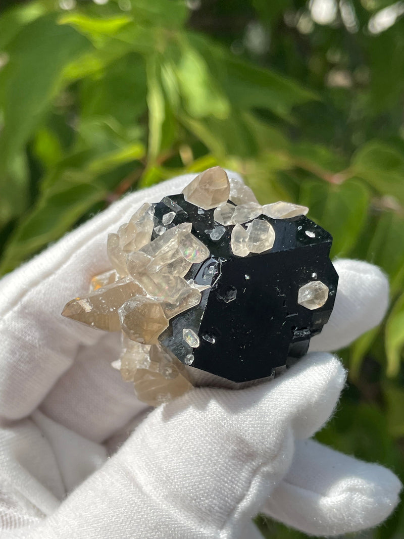 Black Tourmaline Crystal with Smoky Quartz, Mineral Specimen from Erongo Mountain, Erongo Region, Namibia