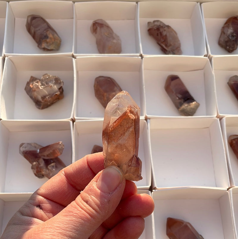 720g Lot of 24 Ishuko Red Phantom Quartz, Hematite included Quartz from the Central Province of Zambia