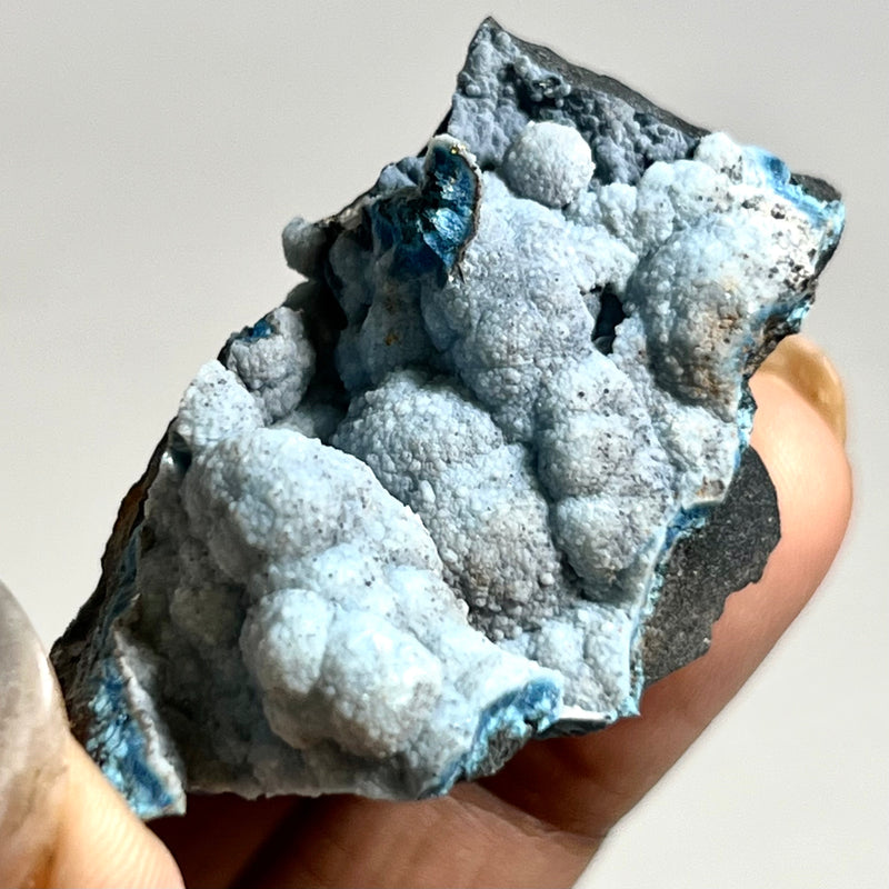 Botryoidal Blue Shattuckite, Mesopotamia Copper Valley, Kunene, Namibia, African Mineral Specimen