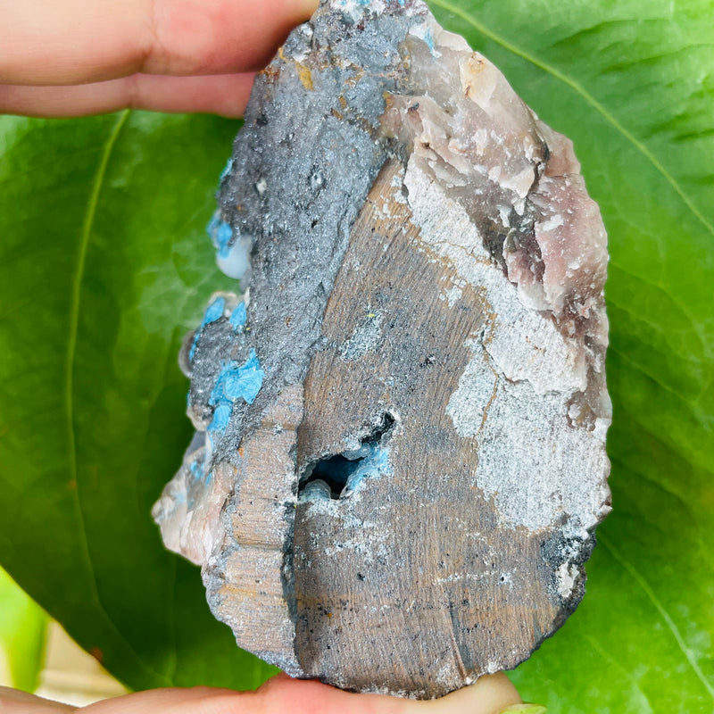 Chalcedony Covered Shattuckite, Mesopotamia Copper Valley, Kunene, Namibia, Mineral Specimen