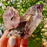 Double Terminated Shangaan Amethyst From Zimbabwe