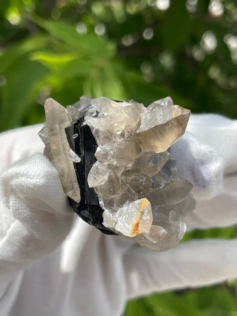 Black Tourmaline Crystal with Smoky Quartz, Mineral Specimen from Erongo Mountain, Erongo Region, Namibia