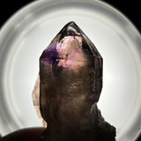 Hugging Twin Smokey Quartz, Shangaan Amethyst Crystal From The Chibuku Mine, Gezani Communal Land, Zimbabwe