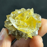 Gypsum Var. Selenite, Fluorescent and Phosphorescent. Red River Floodway, Winnipeg, Manitoba, Canada