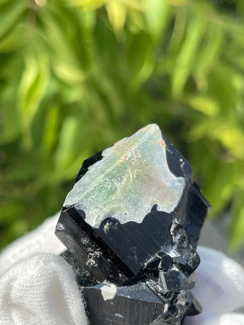 Black Tourmaline Cluster with Hyalite Opal, Mineral Specimen from Erongo Mountain, Erongo Region, Namibia