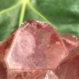 Self Standing 5 Point Ishuko Red Phantom Quartz Cluster, Hematite included Quartz from the Central Province of Zambia