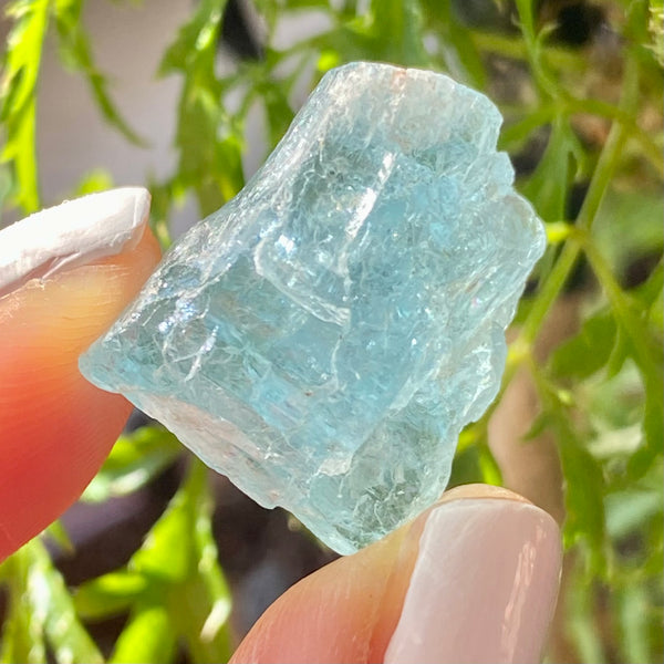 Blue Topaz, Rainbow, Mwami, Hurungwe, Zimbabwe