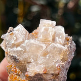 Gorgeous Fluorite Speciman, Flamboro Quarry, Dundas, Ontario, Canada