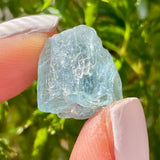 Blue Topaz, Mwami, Hurungwe, Zimbabwe