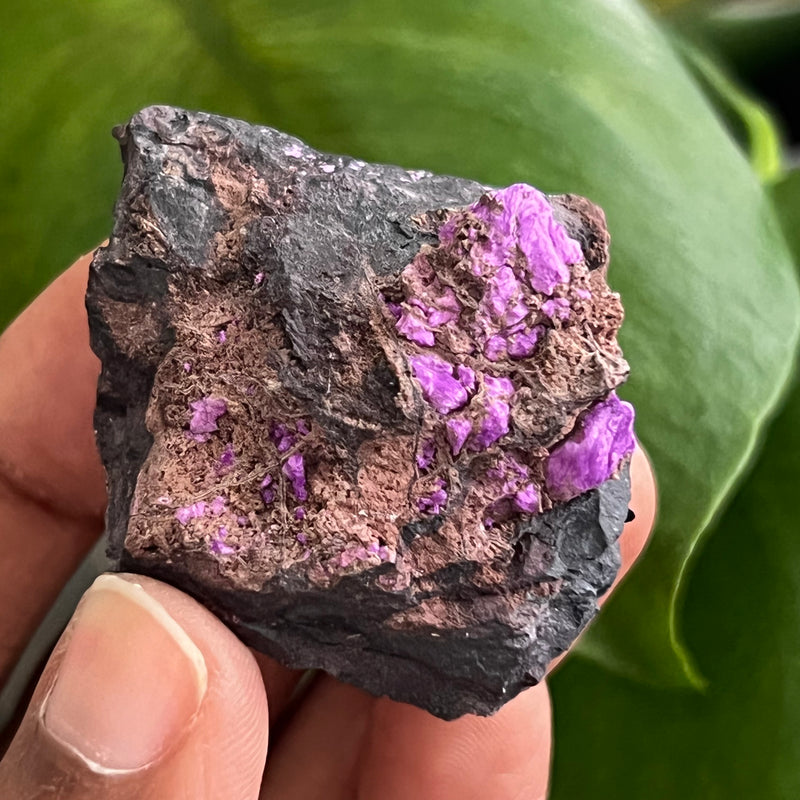 Sugilite from N’chwaning Mine III, Kalahari Manganese Field, Northern Cape, South Africa