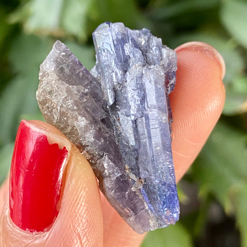 31.6 ct Blue Tanzanite Crystal from Lelatema Mountains, Merelani Hills, Tanzania