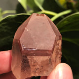 3 Ishuko Red Phantom Quartz, Hematite included Quartz from the Central Province of Zambia