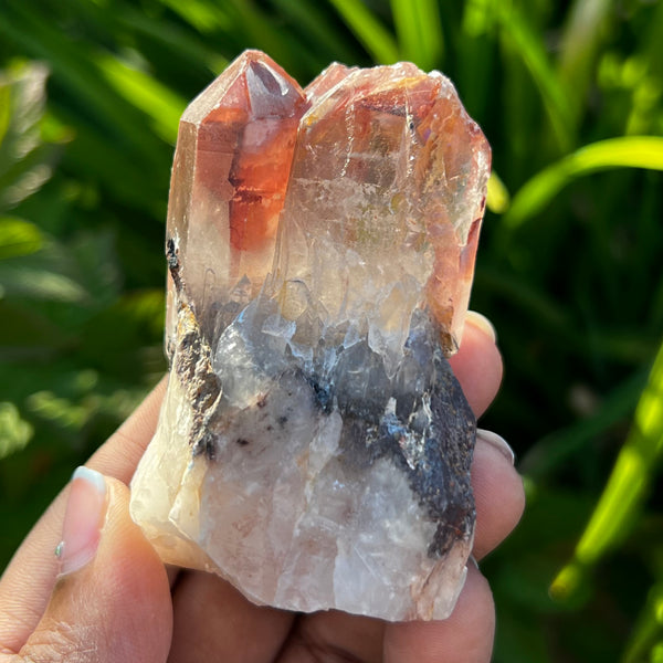 Gorgeous Self-Standing Ishuko Red Phantom Quartz, Hematite included Quartz from the Central Province of Zambia