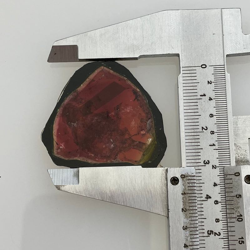 25.3ct Liddicoatite Slice, Rare Tourmaline from Antsirabe, Madagascar