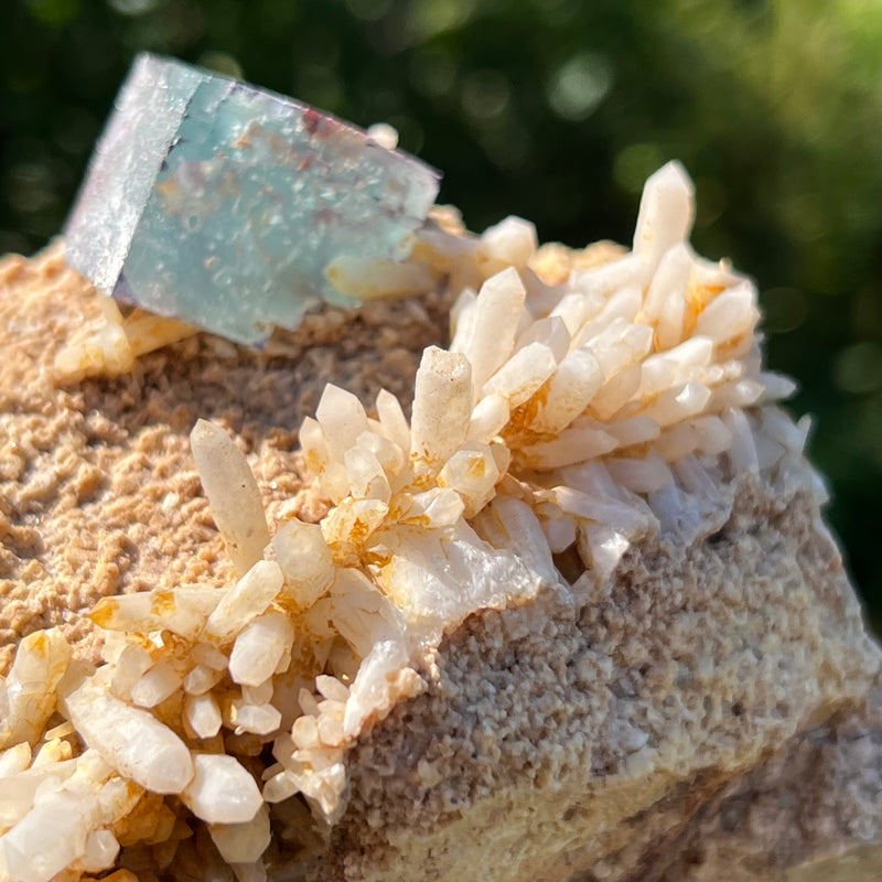 Gorgeous Self-Standing Fluorite and Milky Quartz from Brandberg Massif, Erongo Region, Namibia
