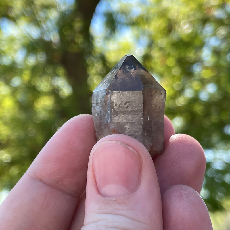 Over 1lb Lot of Kundalini Quartz Citrine, Democratic Republic of Congo, Lwena, Congo Citrine