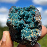 Botryoidal Blue Shattuckite, Mesopotamia Copper Valley, Kunene, Namibia, African Mineral Specimen