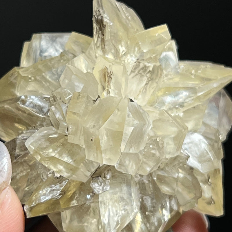Gypsum Var. Selenite, Fluorescent and Phosphorescent. Red River Floodway, Winnipeg, Manitoba, Canada