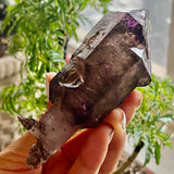 Beautiful Shangaan Amethyst, From Zimbabwe