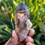 Smokey Quartz, Shangaan Amethyst Crystal From The Chibuku Mine, Gezani Communal Land, Zimbabwe