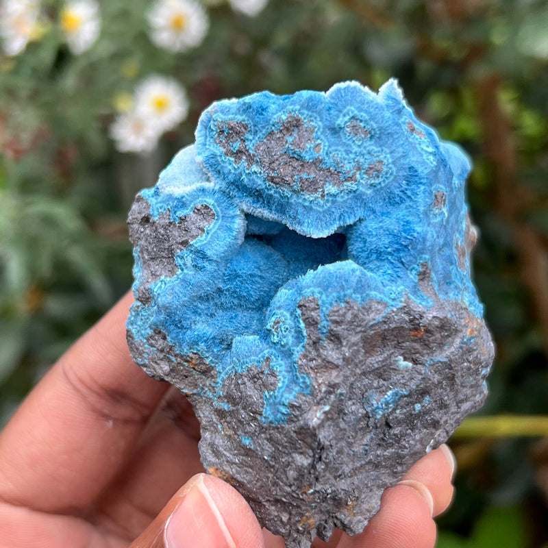 Deep Blue Fibrous Blue Shattuckite, Mesopotamia Copper Valley, Kunene, Namibia, African Mineral Specimen