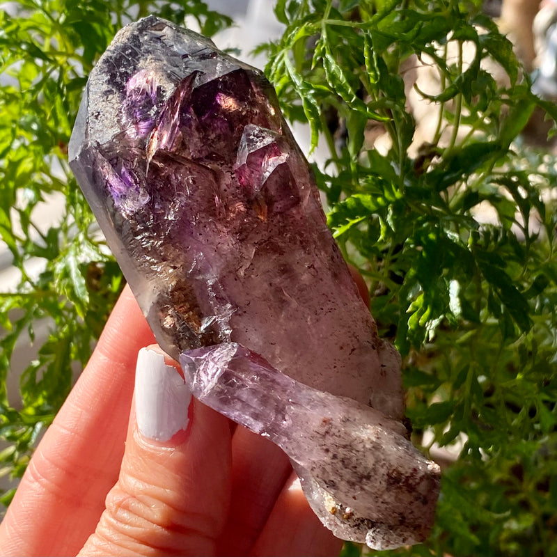 Shangaan Amethyst From Zimbabwe