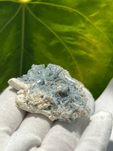 Elaborate Aquamarine Cluster on Feldspar Matrix, Mineral Specimen from Erongo Mountain, Erongo Region, Namibia