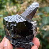 Black Tourmaline Crystal with Smoky Quartz Antenna from Rondekop, Erongo Mountain, Erongo Region, Namibia