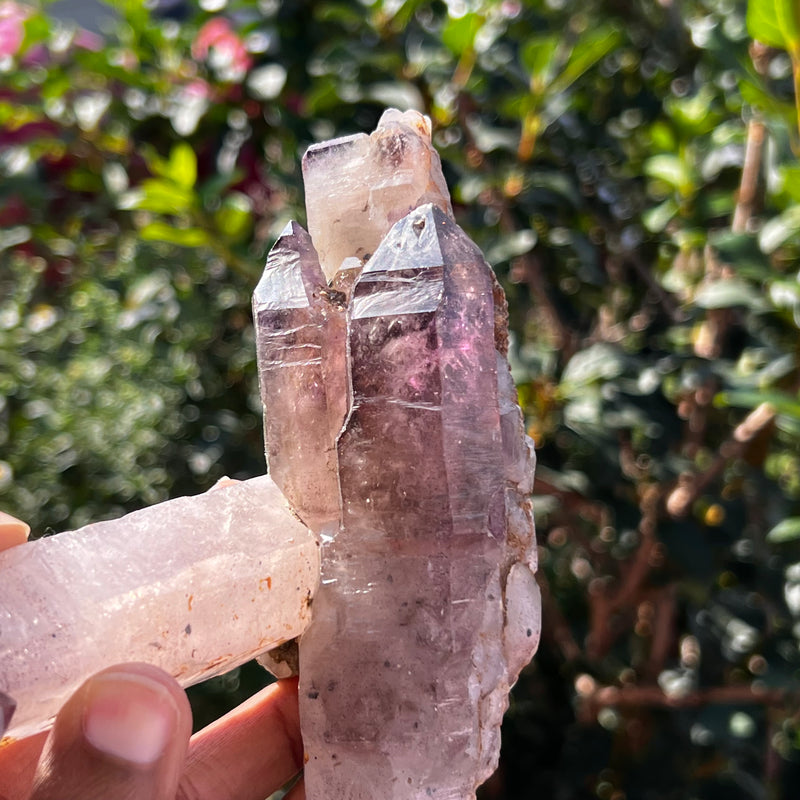 Gorgeous Shangaan Amethyst Crystal From Zimbabwe