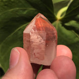 5 Ishuko Red Phantom Quartz, Hematite included Quartz from the Central Province of Zambia