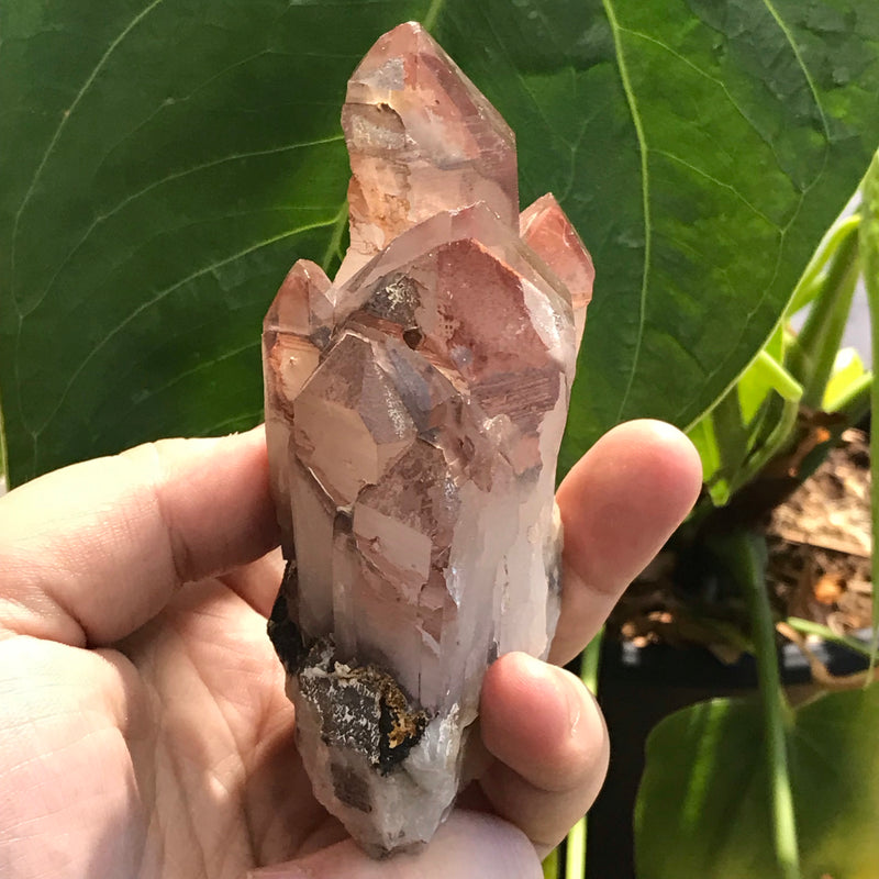 Beautiful Self Standing Ishuko Red Phantom Quartz Cluster, Hematite included Quartz from the Central Province of Zambia