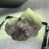 Purple and Light Green Fluorite in display box, Erongo Mountain, Erongo Region, Namibia