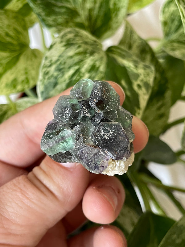 Smoky Fluorite Cluster on Feldspar Matrix from Erongo Mountain, Erongo Region, Namibia