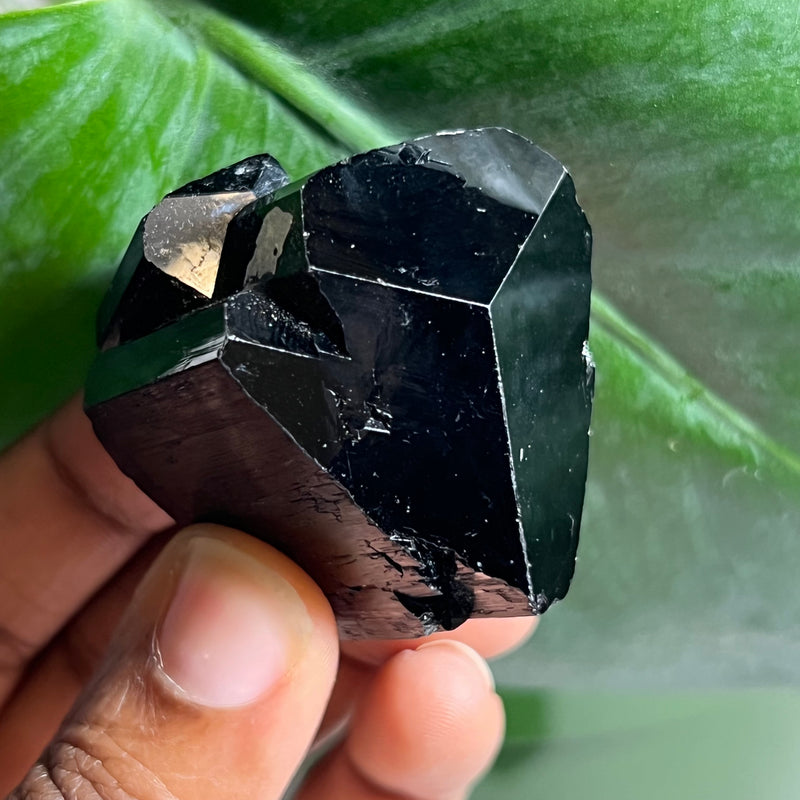 Set of 3 Lustrous Black Tourmaline, from Erongo Mountain, Erongo Region, Namibia