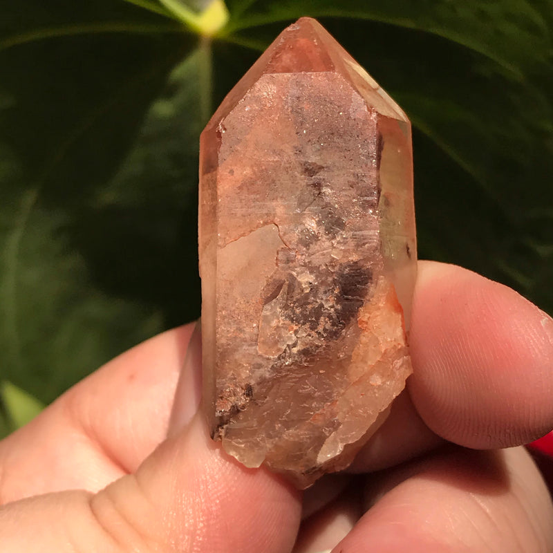 3 Ishuko Red Phantom Quartz, Hematite included Quartz from the Central Province of Zambia