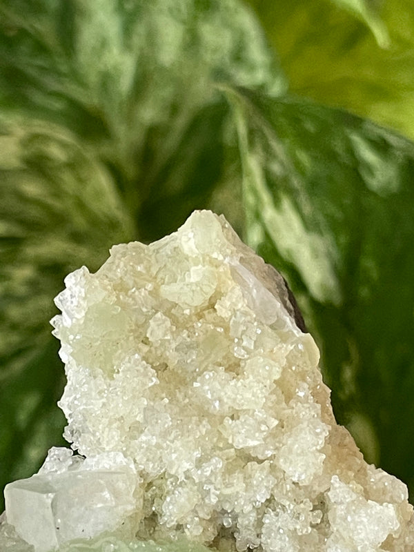 Prehnite on Quartz Matrix, Specimen from Xoboxobos, Brandberg District, Namibia