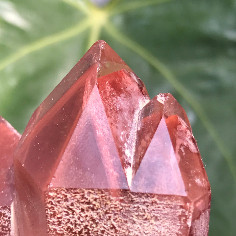 Vivid Ishuko Red Phantom Quartz Cluster, Hematite included Quartz from the Central Province of Zambia