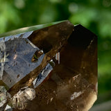 172g Smoky Quartz from Mulanje, Malawi, Africa