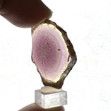 Sliced Botryoidal Fluorite from Klein Spitzkoppe Area, Erongo Region, Namibia