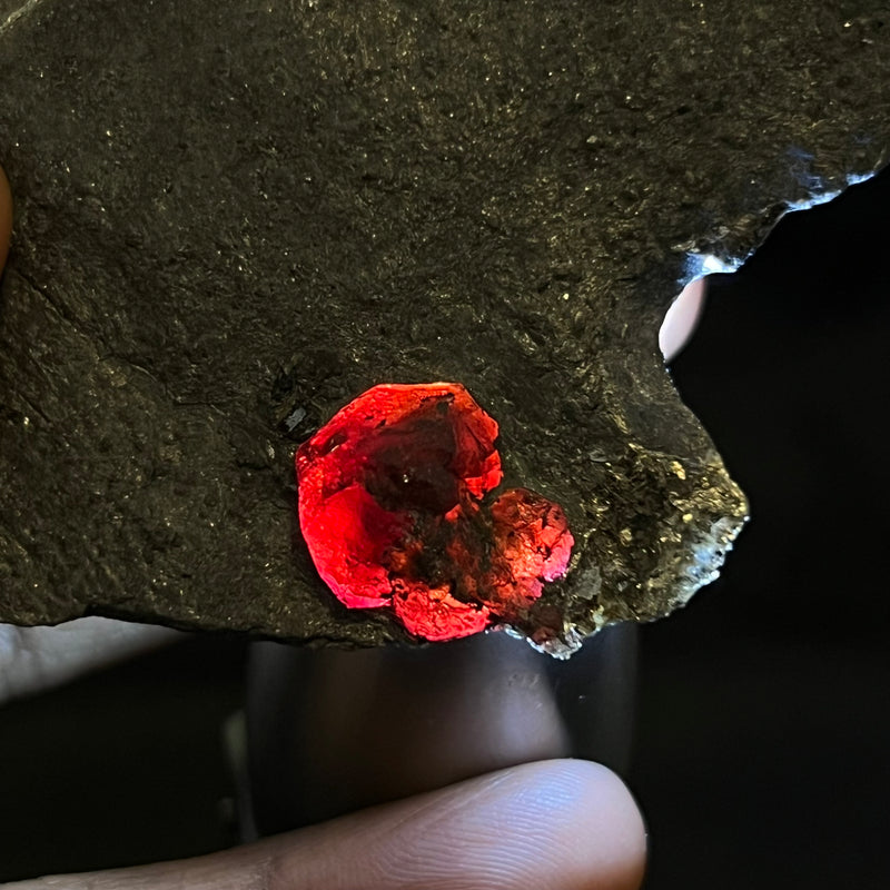 Almandine Garnet on Graphite, Red Embers Mine, Erving, Franklin County, Massachusetts, USA