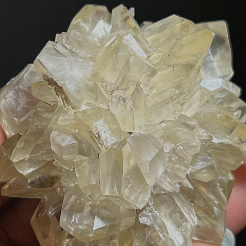 Gypsum Var. Selenite, Fluorescent and Phosphorescent. Red River Floodway, Winnipeg, Manitoba, Canada